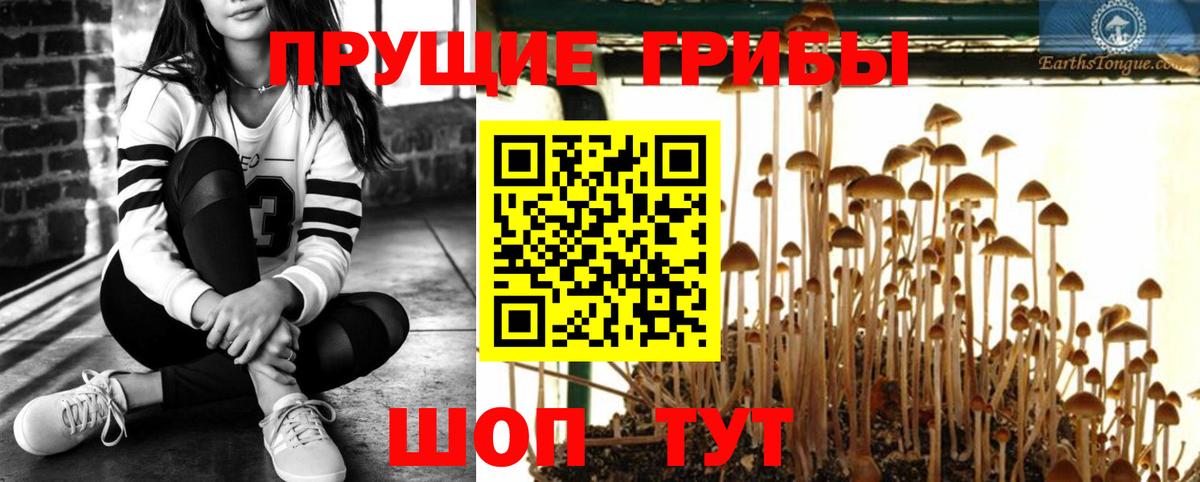 цены   Псилоцибиновые грибы мухоморы  Лыткарино  Вход с VPN  Галлюциногенные грибы Psilocybine cubensis 